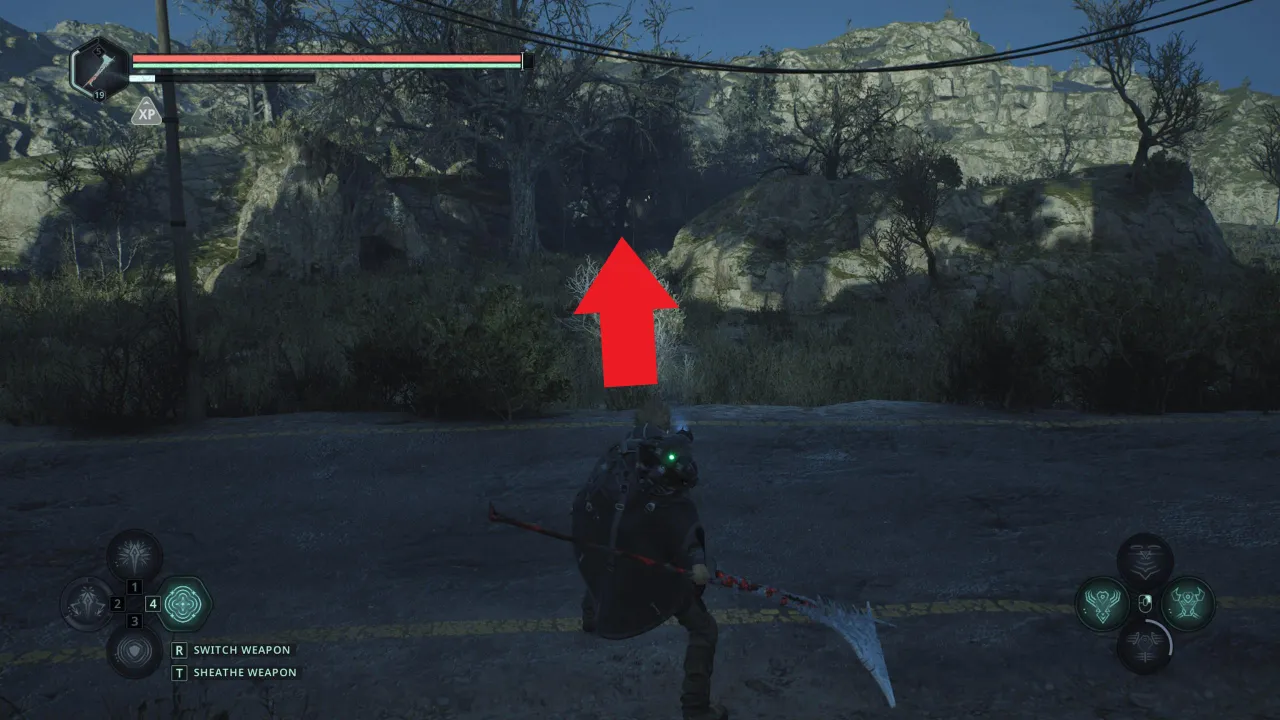 Дорога к хижине фотографа Фюрена Брона на болотах Акаса