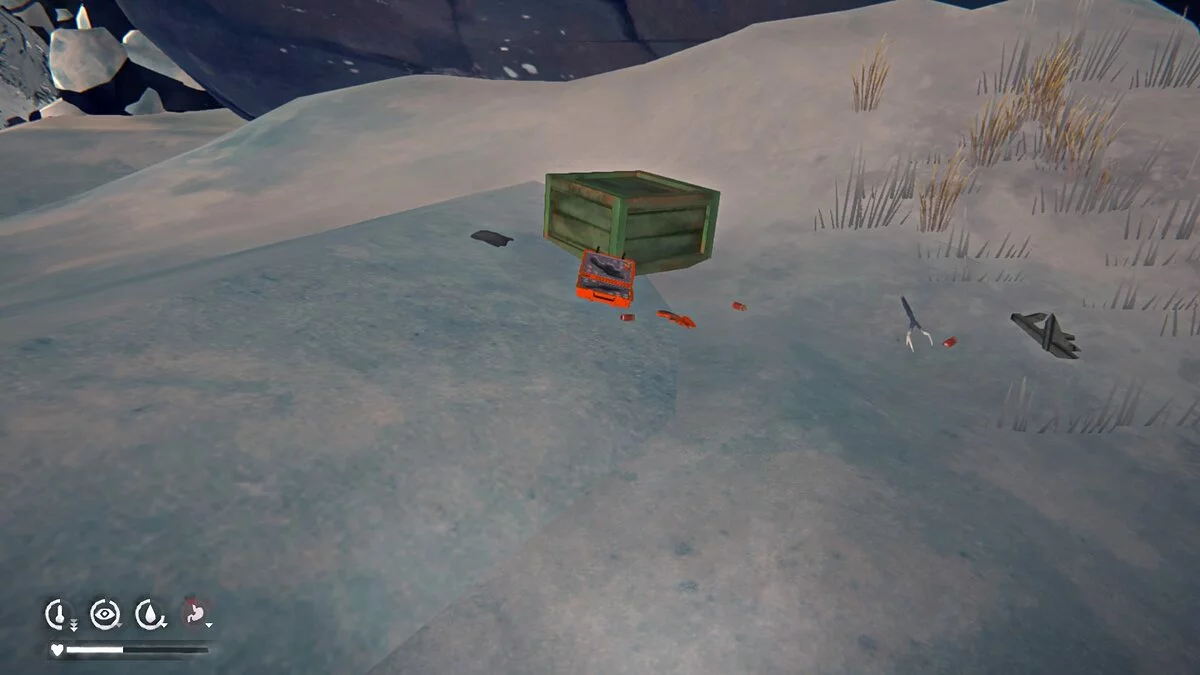 Обломки самолёта и футляр Астрид в The Long Dark