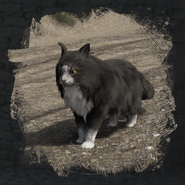 Long-Haired Cat (длинношёрстная кошка) в Crimson Desert