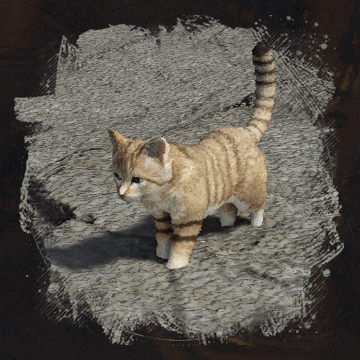 Desert Cat (Пустынная кошка) в Crimson Desert