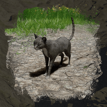 Slim Cat (стройная кошка) в Crimson Desert