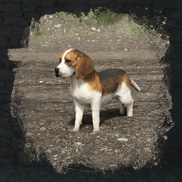 Beagle (бигль) в Crimson Desert