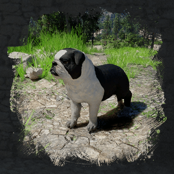 Floppy-Eared Bulldog (вислоухий бульдог) в Crimson Desert