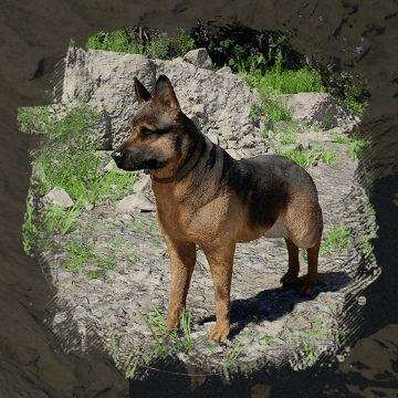Shepherd (овчарка) в Crimson Desert