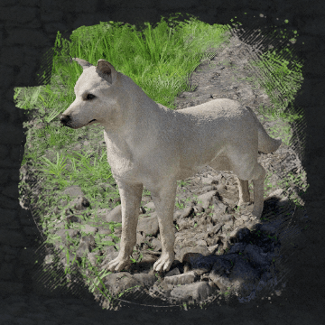Jindo (Джиндо) в Crimson Desert