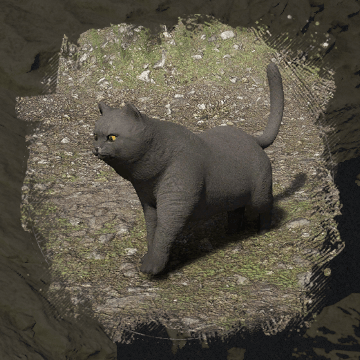 Short-Haired Cat (короткошёрстная кошка) в Crimson Desert