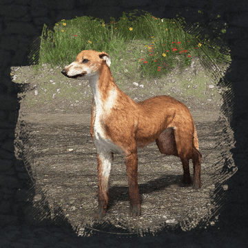 Greyhound (грейхаунд) в Crimson Desert