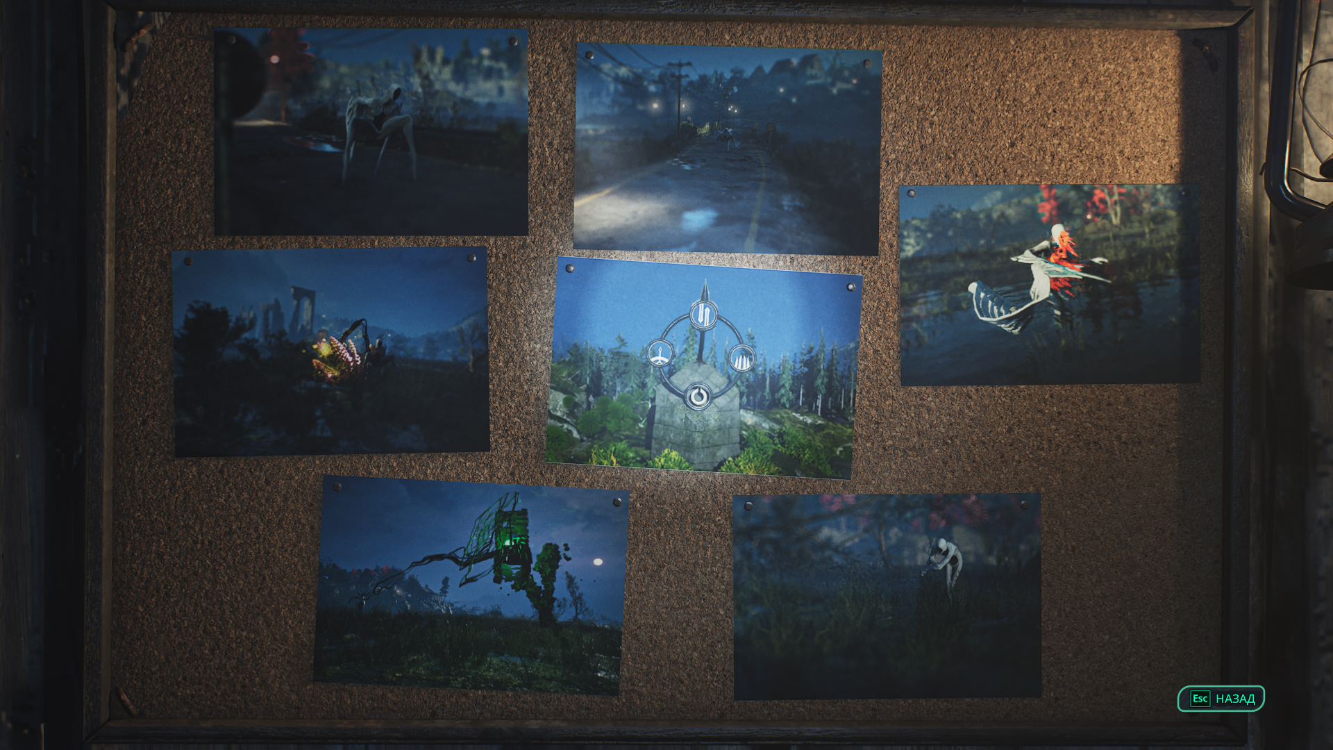 Стенд с новыми фотографиями возле хижины фотографа