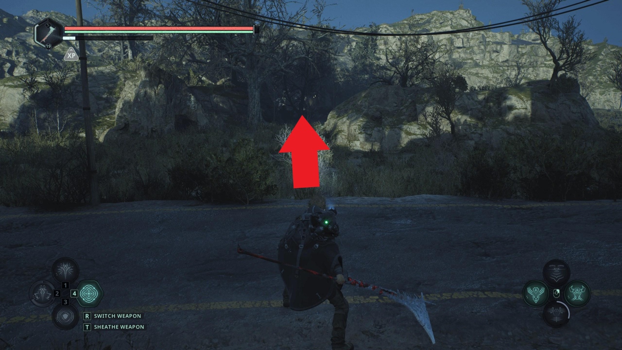 Дорога к хижине фотографа Фюрена Брона на болотах Акаса