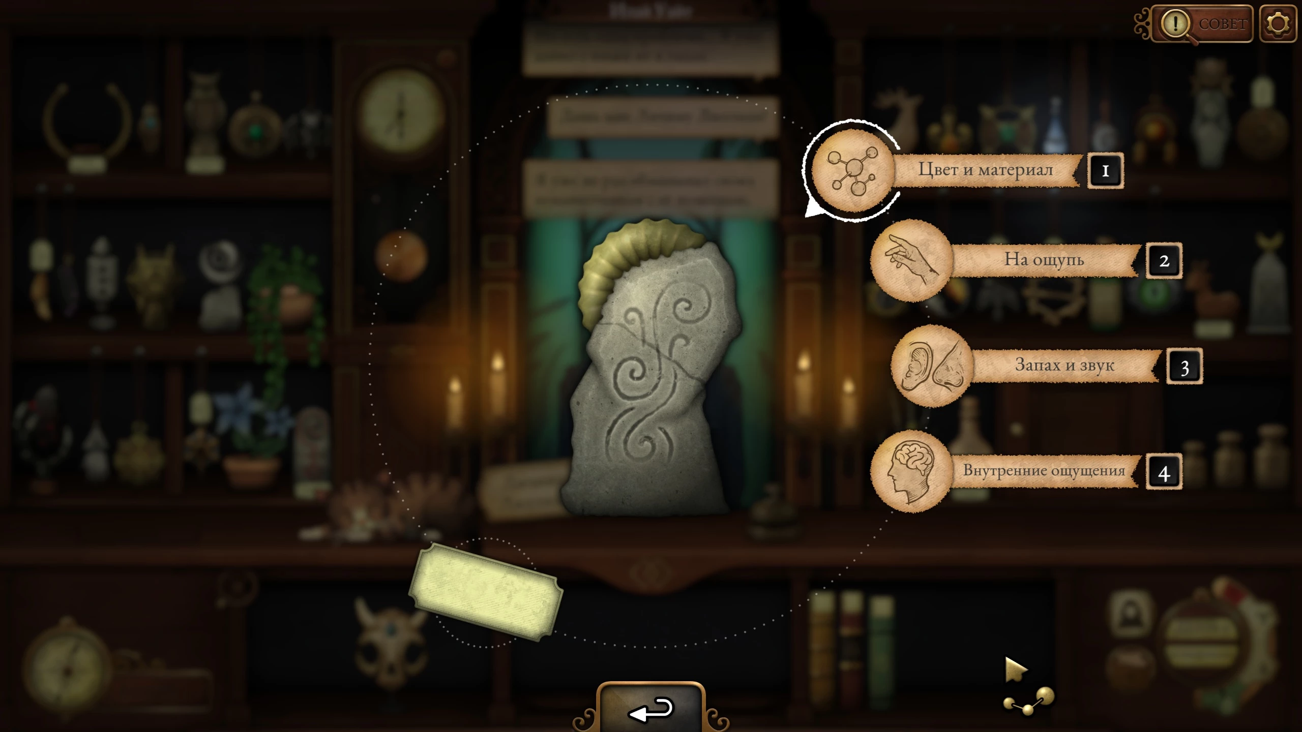 Булыжник с окаменелым аммонитом Личина Лиллиан в Strange Antiquities