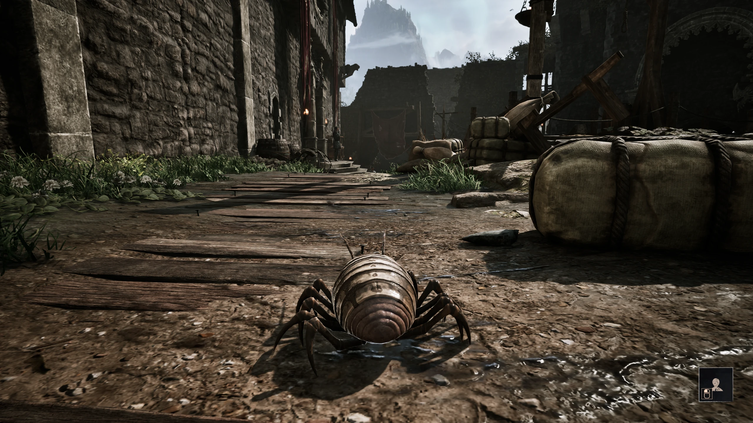 Свиток превращения в мясного жука в Gothic 1 Remake
