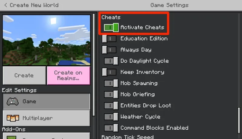 Настройки мира Minecraft с включённым параметром читов