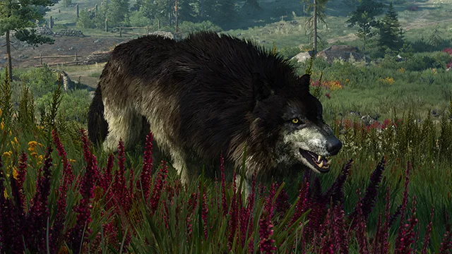 Влияние HairWorks на плотность шерсти волков в The Witcher 3