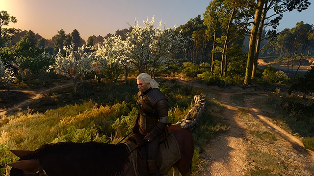 Разница между низким и средним качеством текстур в The Witcher 3