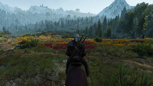 Сравнение плотности травы в The Witcher 3