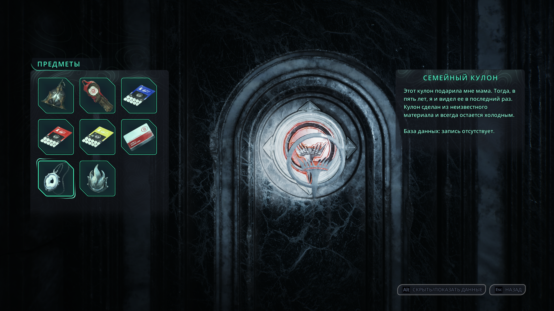 Набор расходников и древковое оружие гнева 10 уровня