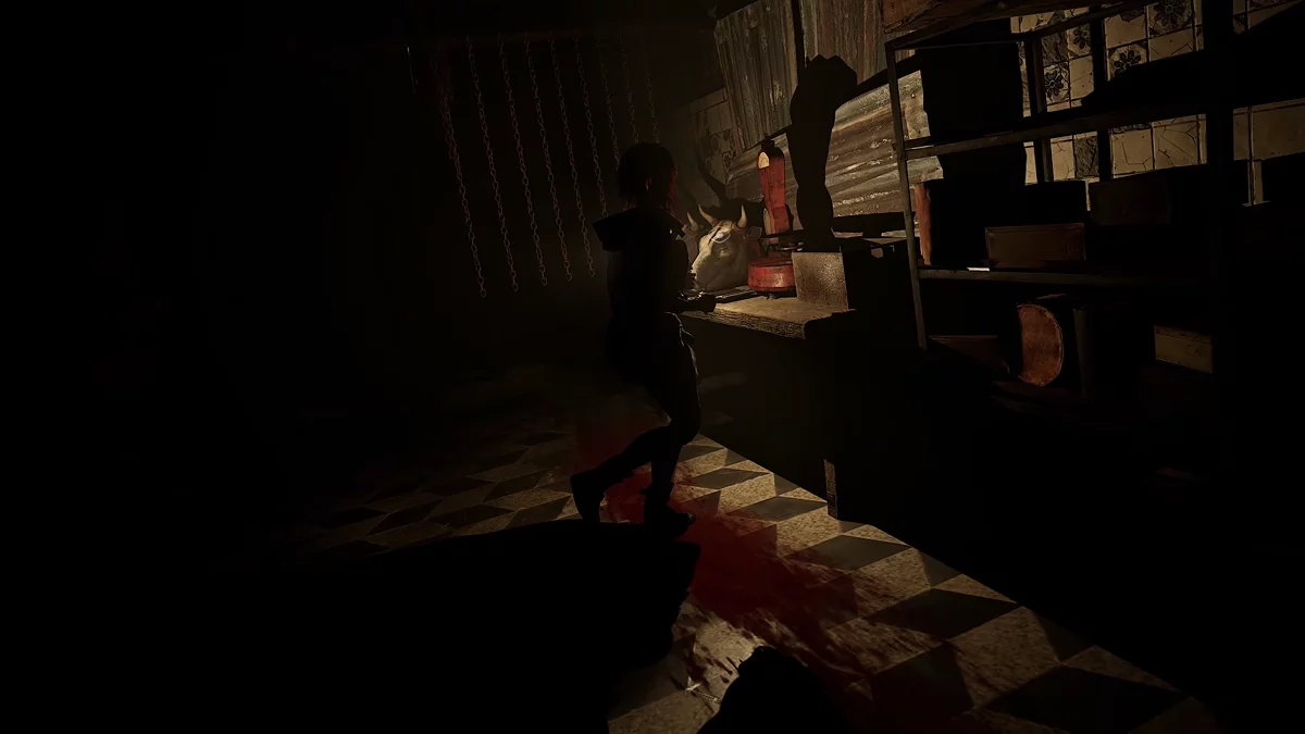 Четвёртая часть дневника Мигеля на столе в лавке мясника в торговом квартале