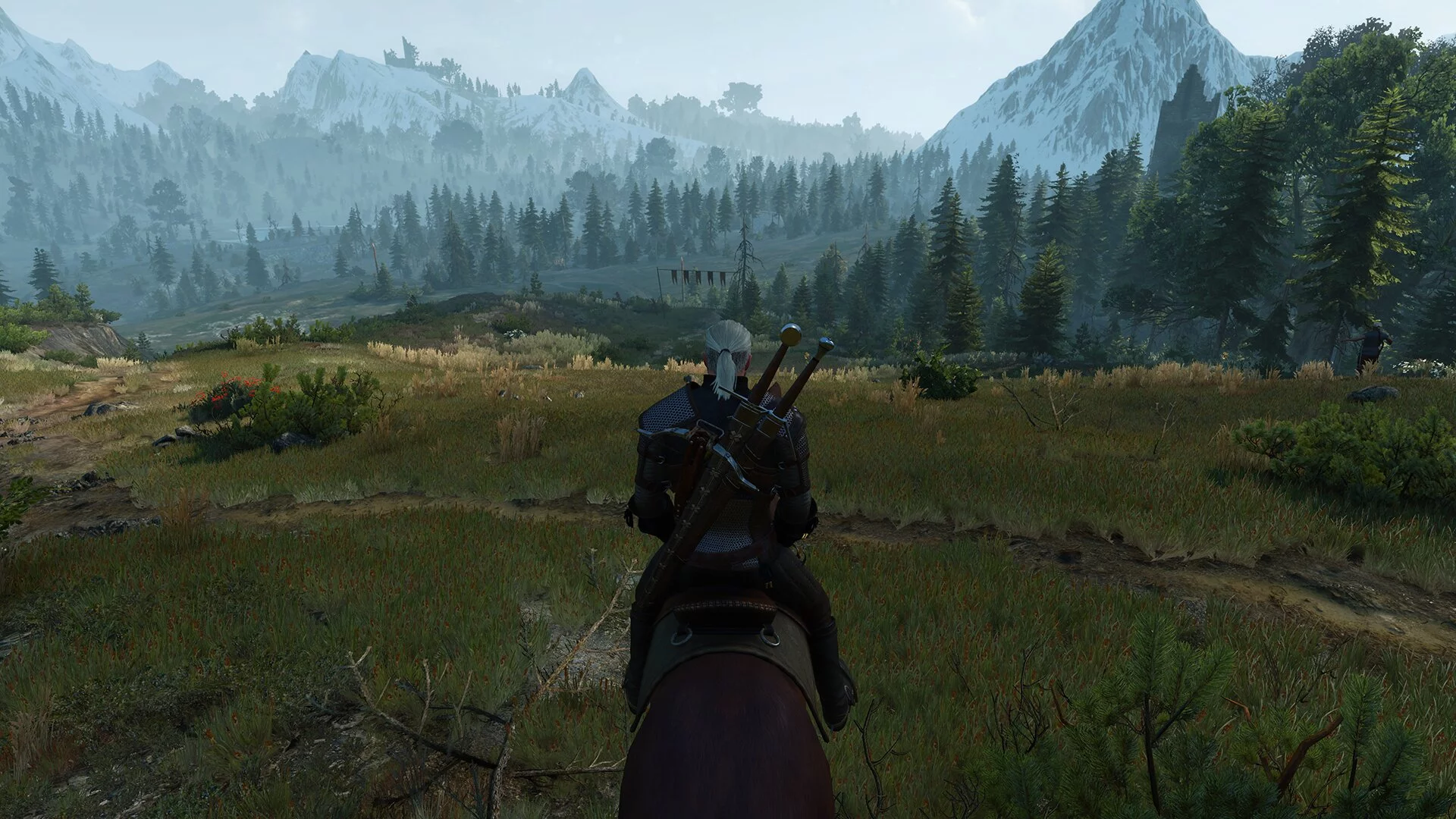 Избыточная плотность травы в The Witcher 3 при максимальном значении GrassDensity