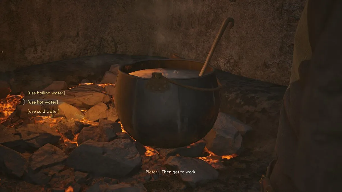 Выбор горячей воды при готовке лекарства по рецепту Анки в The Blood of Dawnwalker