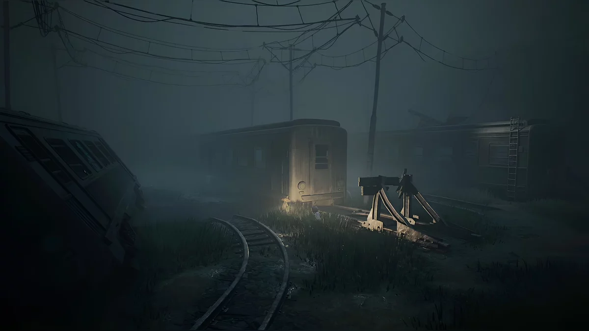 Лестница на боку вагона для подъёма на крышу