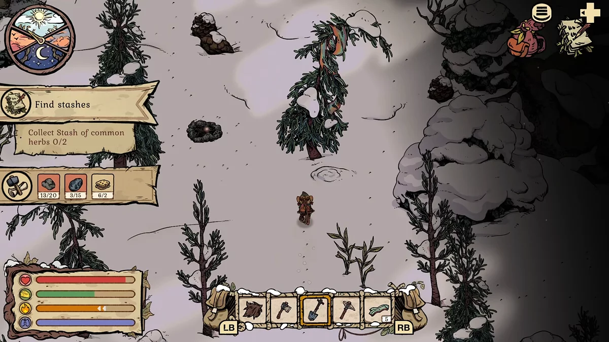 Сосна с зелёным шарфом — первый тайник белки