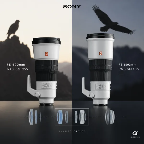 Обложка Sony FE 400mm f/4.5 и FE 600mm f/6.3 GM OSS: два супертелевика с наполовину идентичной оптикой