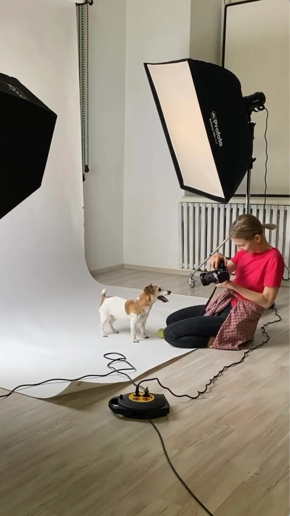 Ирина Каламурза и её собака Майя в фотостудии