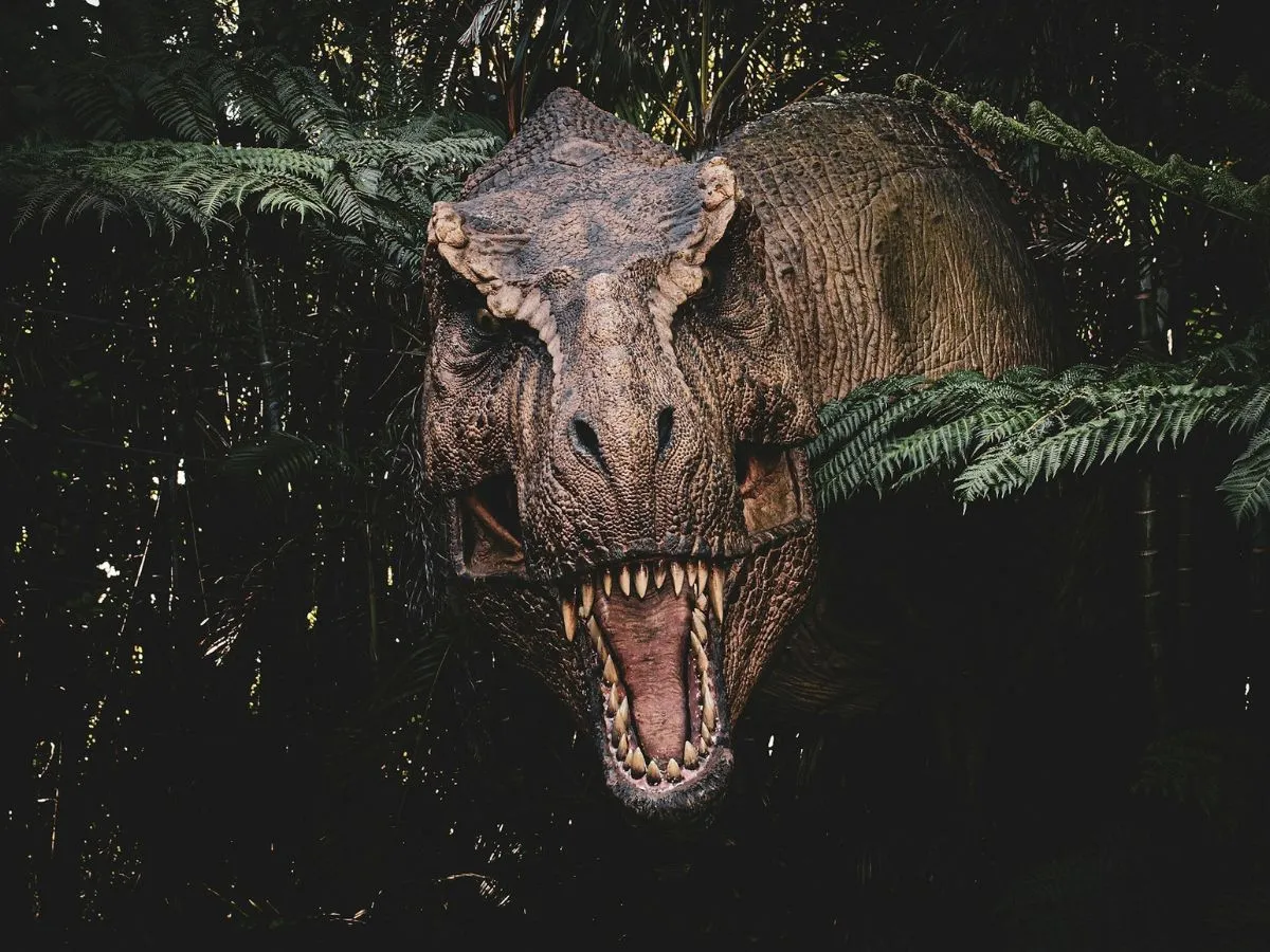 Изображение тираннозавра (T. rex)