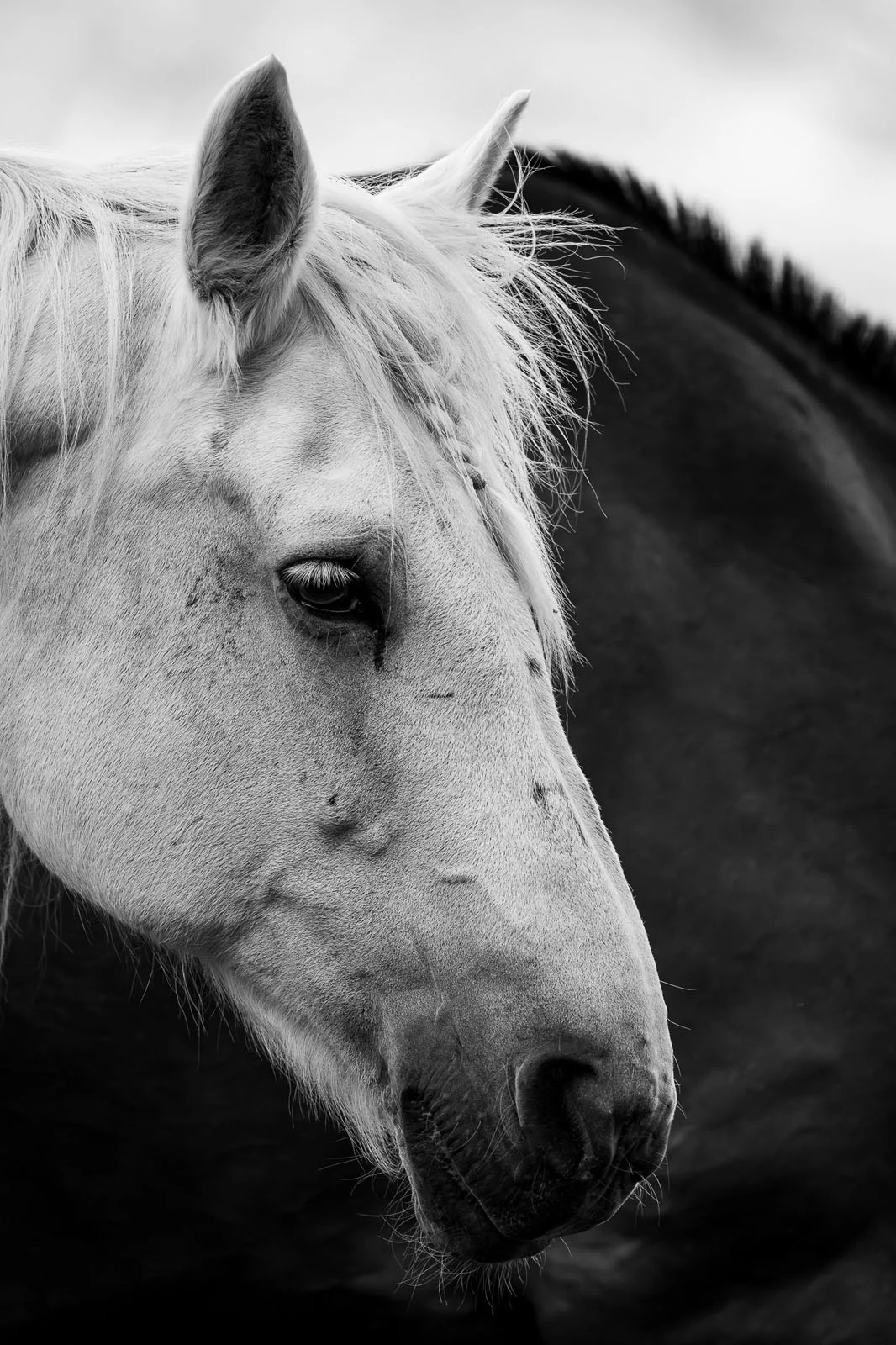 Пример снимка на Sony FE 600mm f/6.3 GM