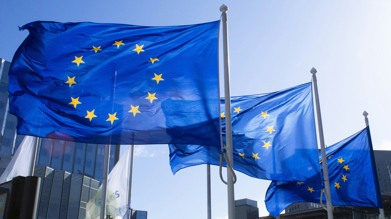 Поисковая система Qwant на экране служебного компьютера Европарламента