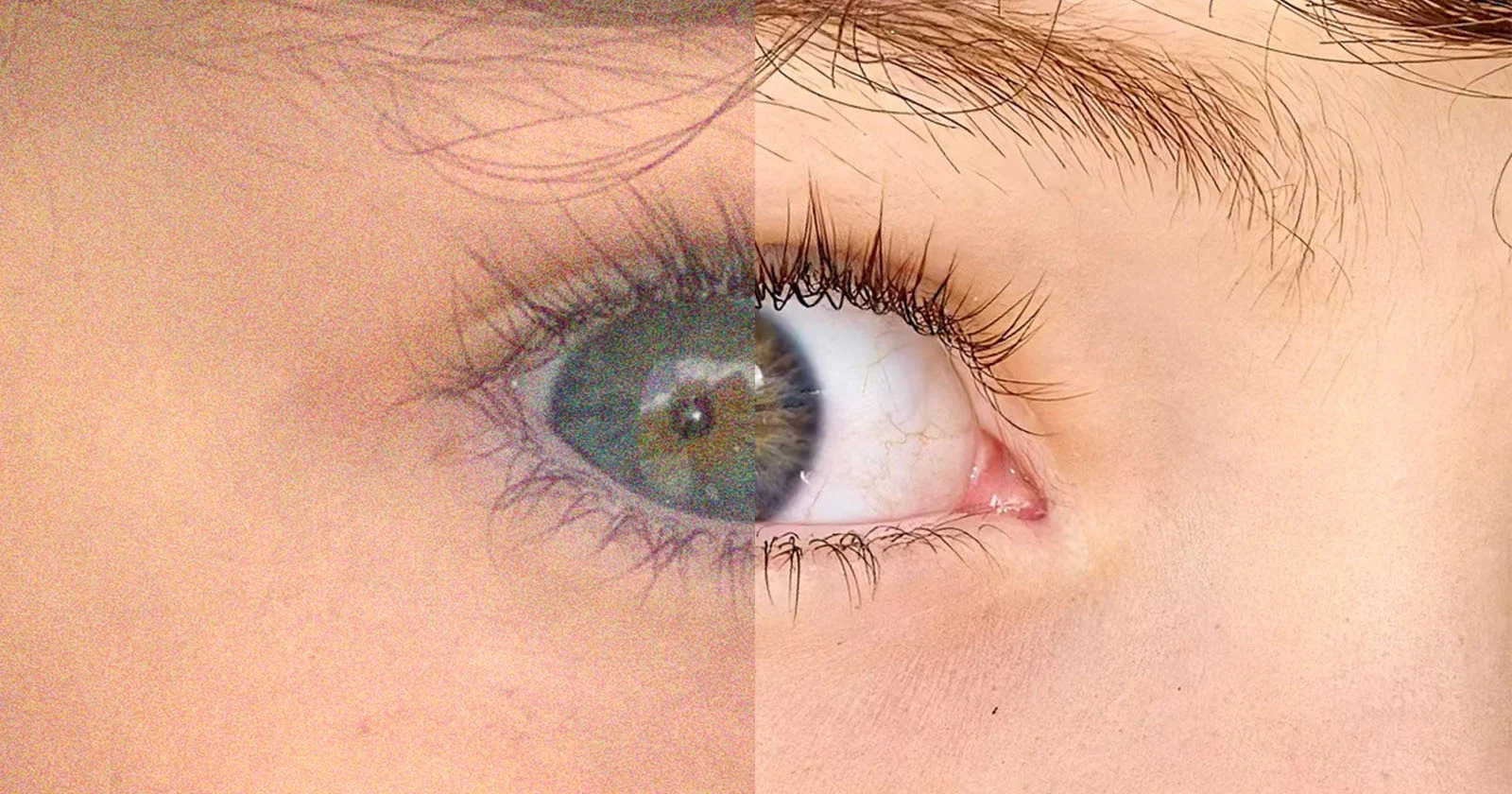Смартфон со значком OpenAI символизирует сделку по покупке Glass Imaging