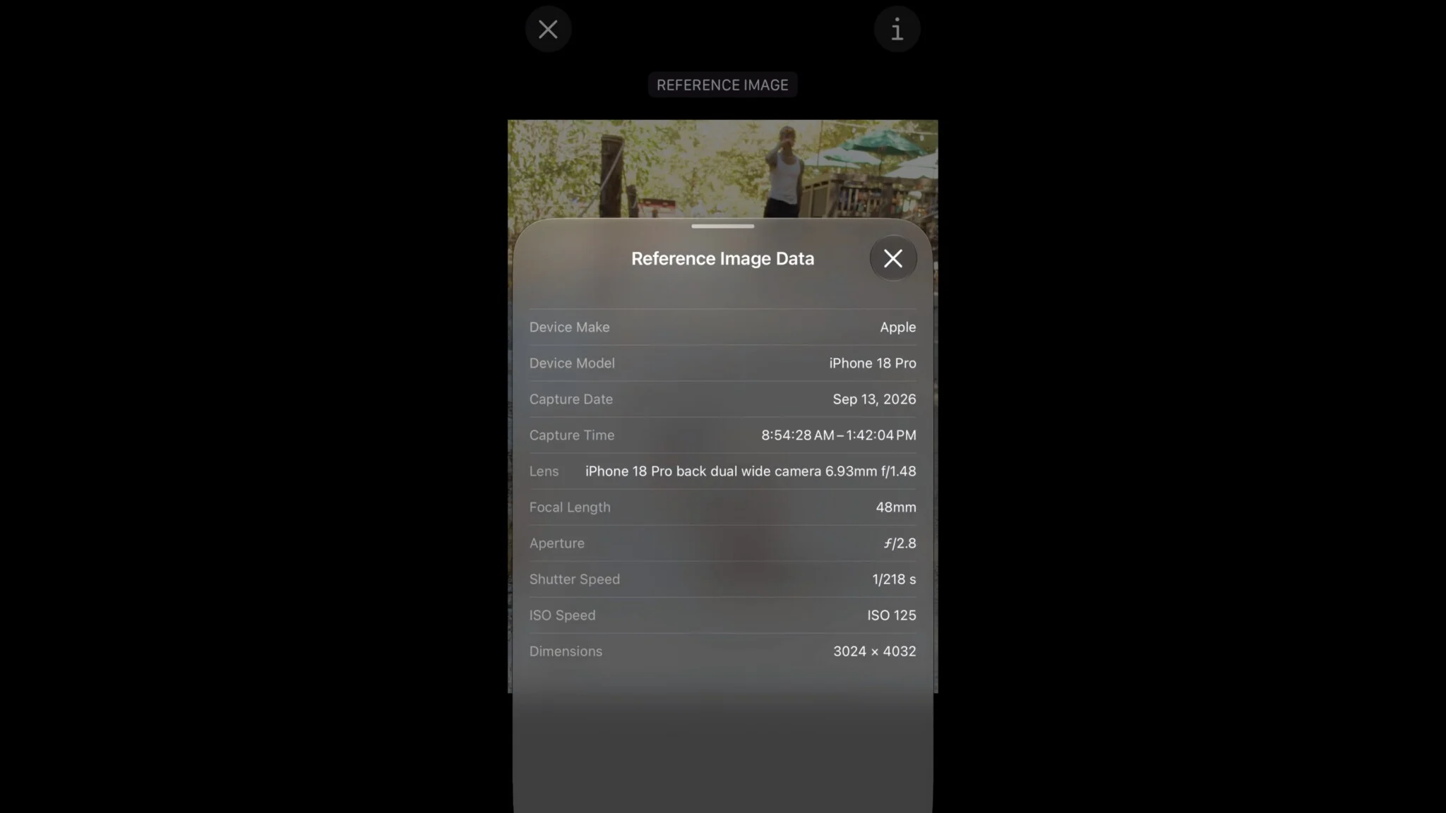 Экран настроек Apple Reference Image