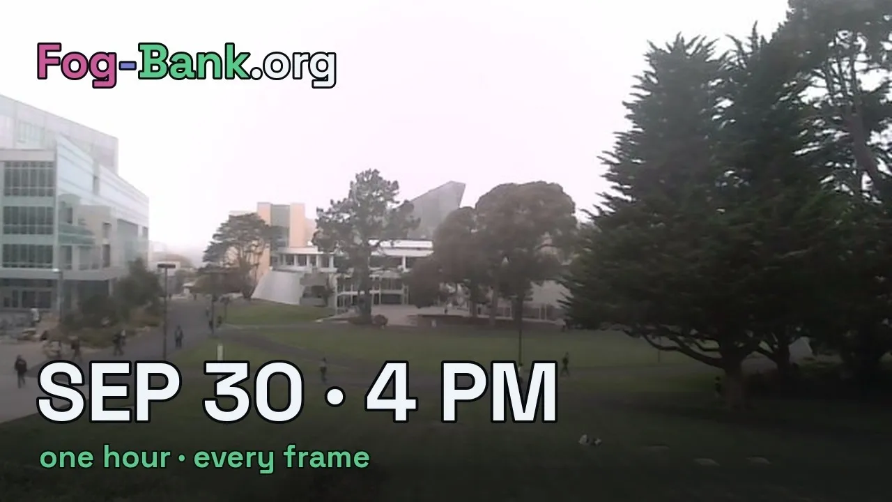 Кадр со старейшей действующей веб-камеры FogCam в Сан-Франциско