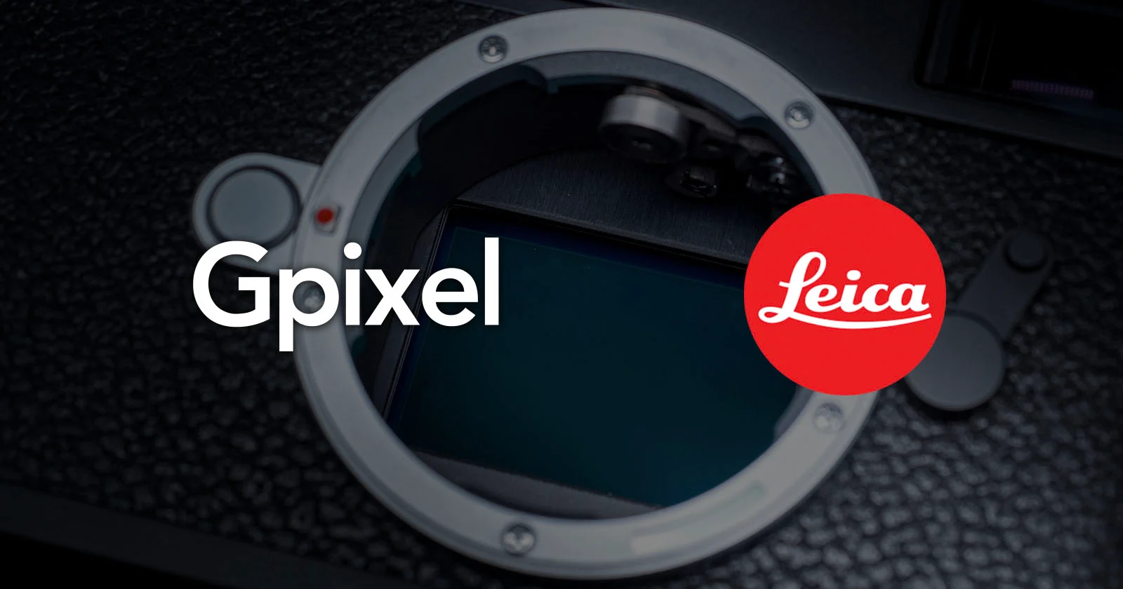 Витрина фирменного магазина Leica с камерами и объективами