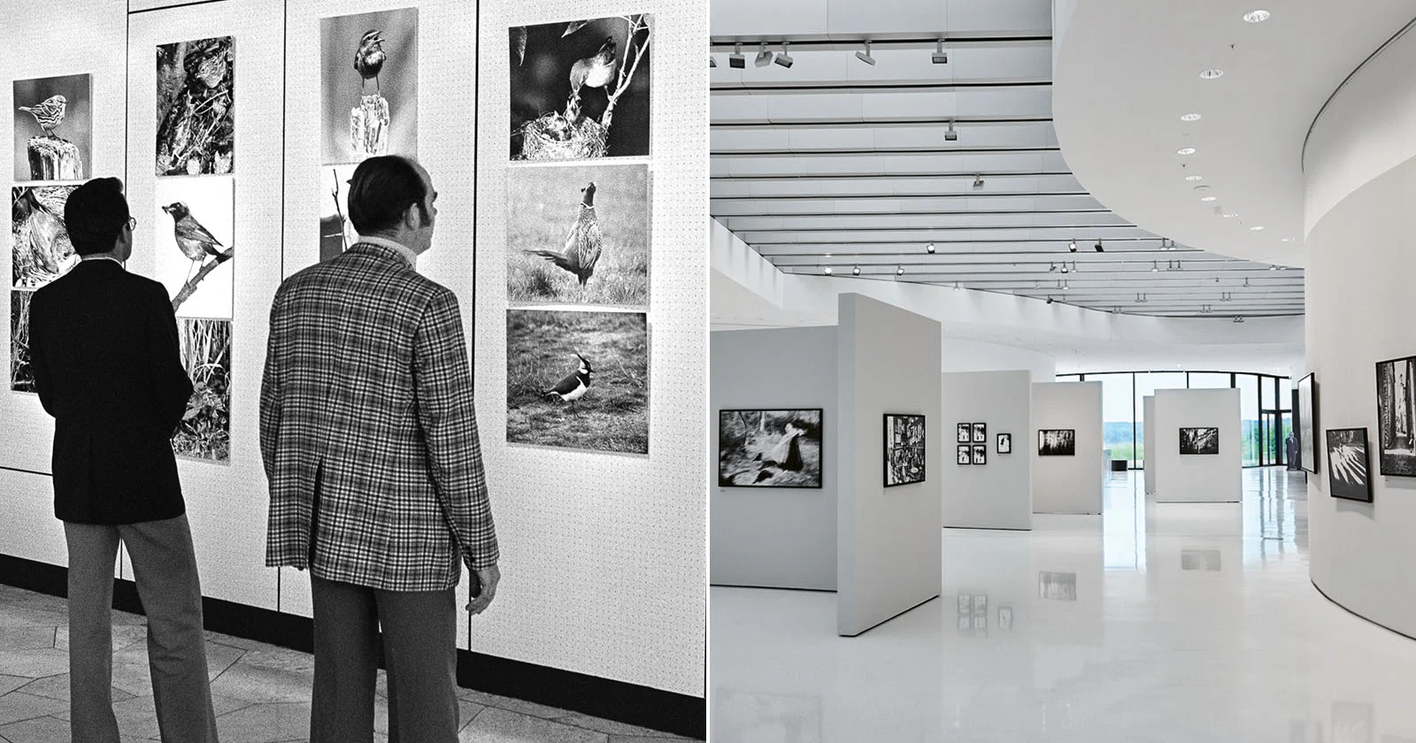Экспозиция в галерее Leica