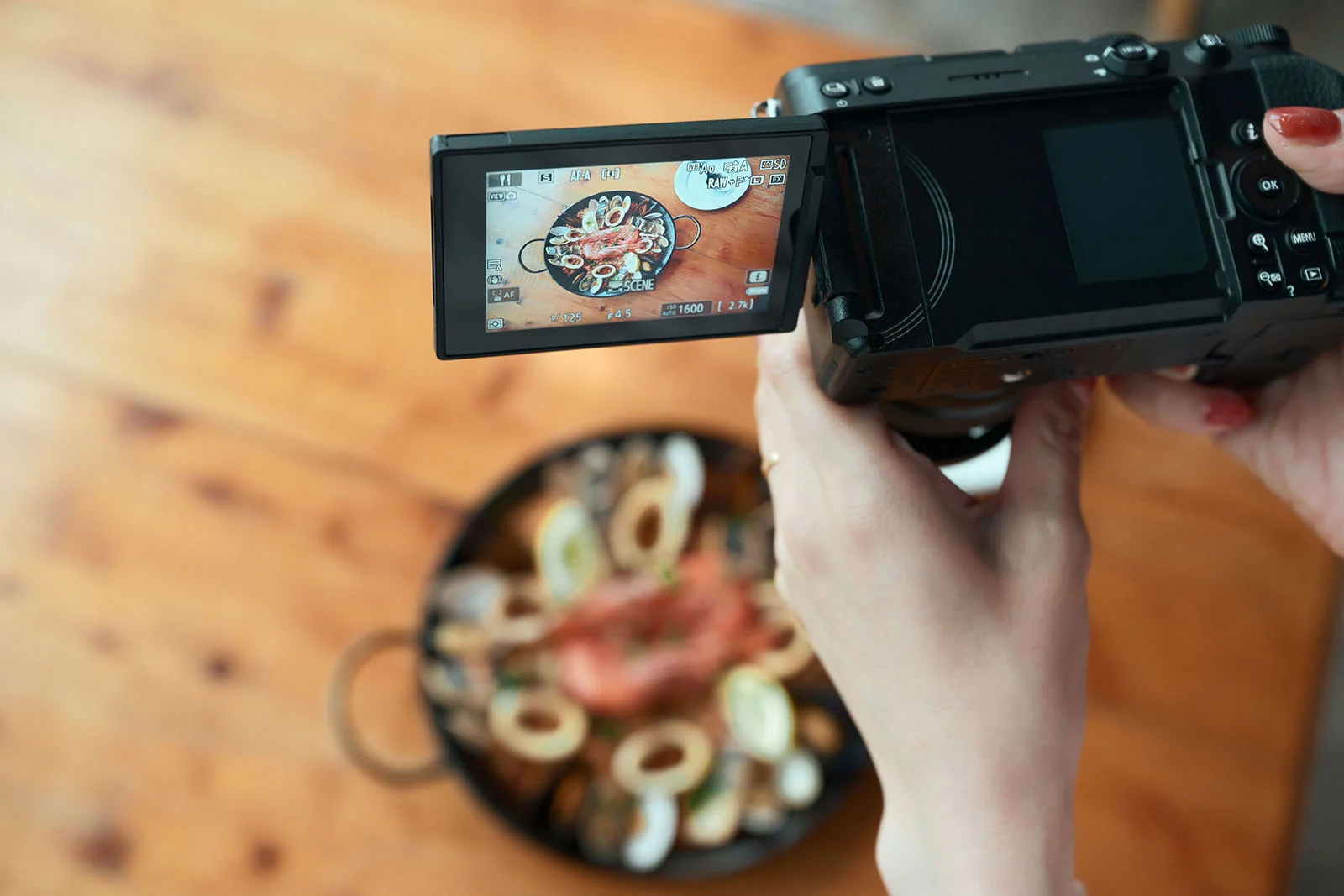 Задний дисплей камеры Nikon Z5 IIC