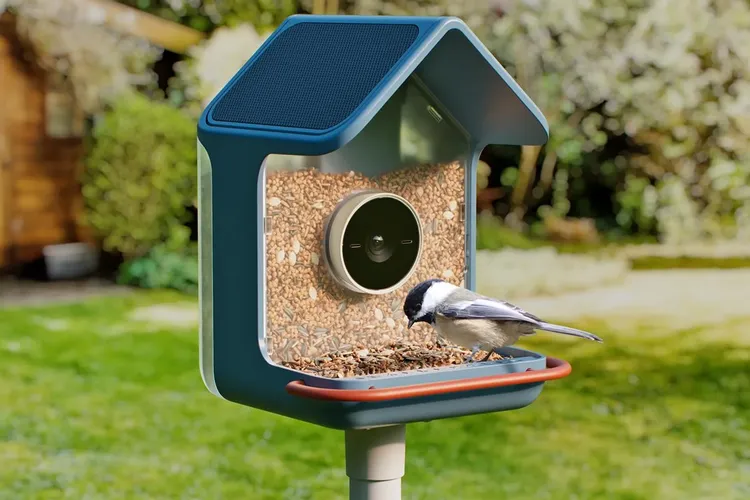 Кормушка Birdbuddy Nook во дворе