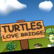 Обложка игры Turtles Bridge