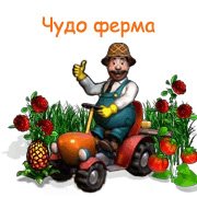 Обложка игры Чудо ферма