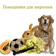 Обложка игры Помощники для зверюшек