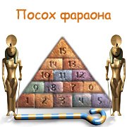 Обложка игры Посох фараона