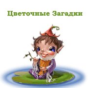 Обложка игры Цветочные Загадки