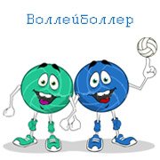 Обложка игры Воллейболлер