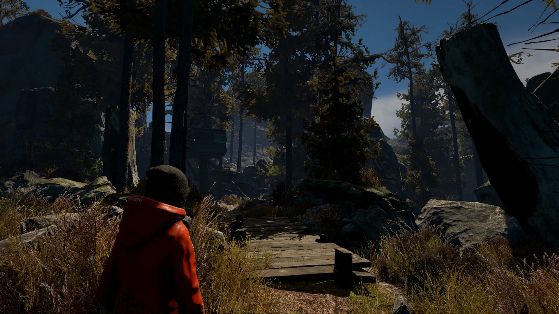 Скриншот из игры Through the Woods - 4