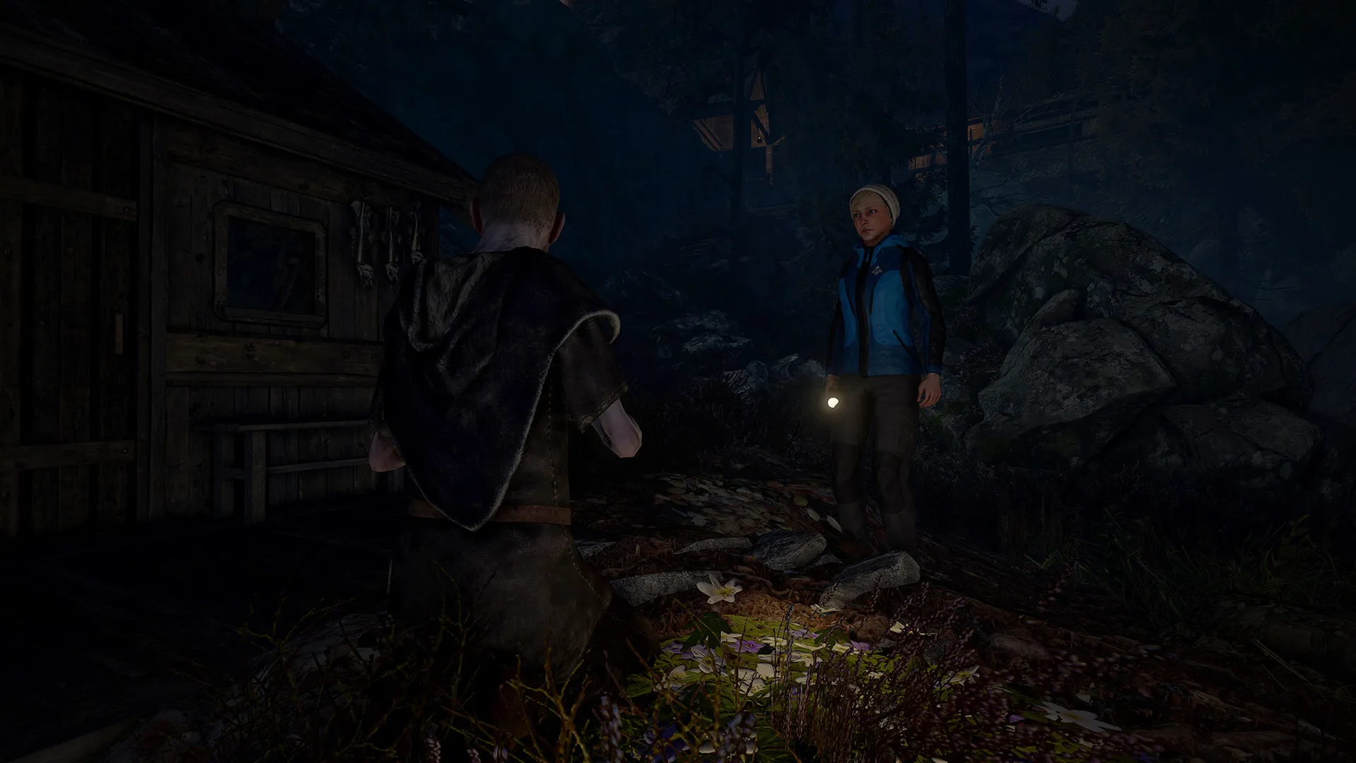 Скриншот из игры Through the Woods - 7