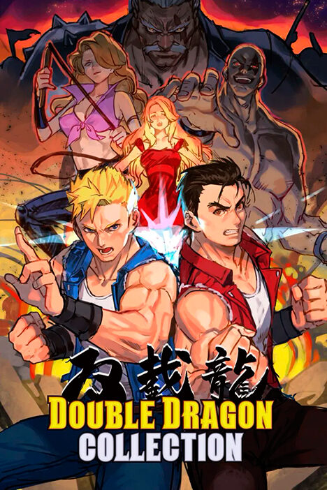 Обложка игры Double Dragon Collection