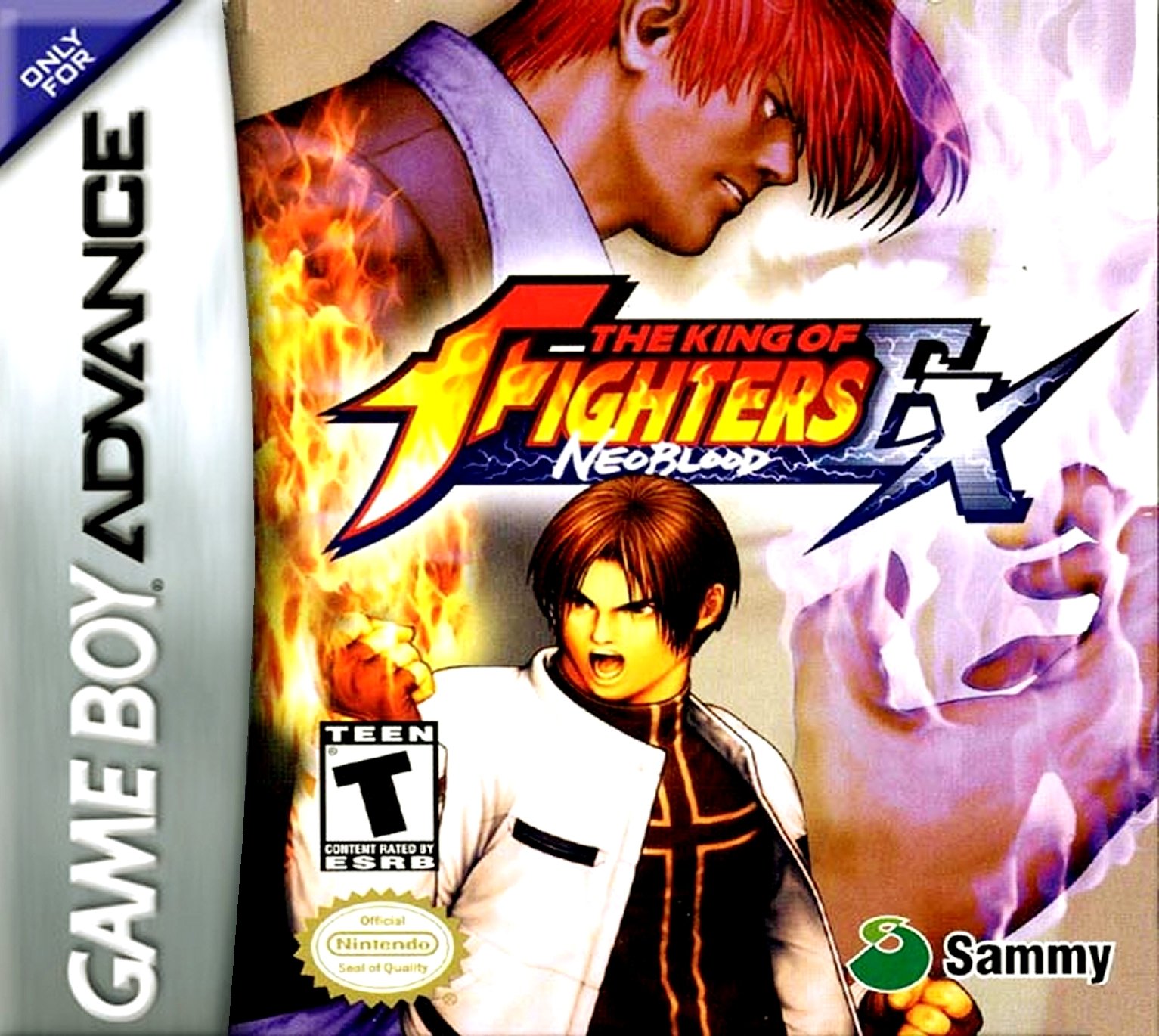 Обложка King of Fighters EX: Neo Blood