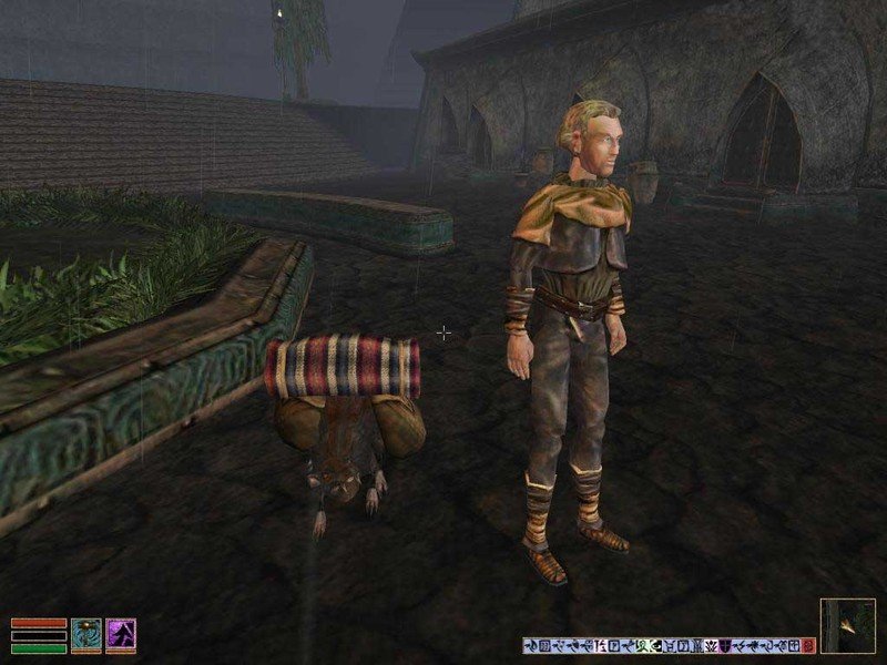 Скриншот из игры The Elder Scrolls 3: Tribunal - 2