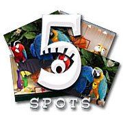 Обложка игры 5 Spots