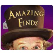 Обложка игры Amazing Finds